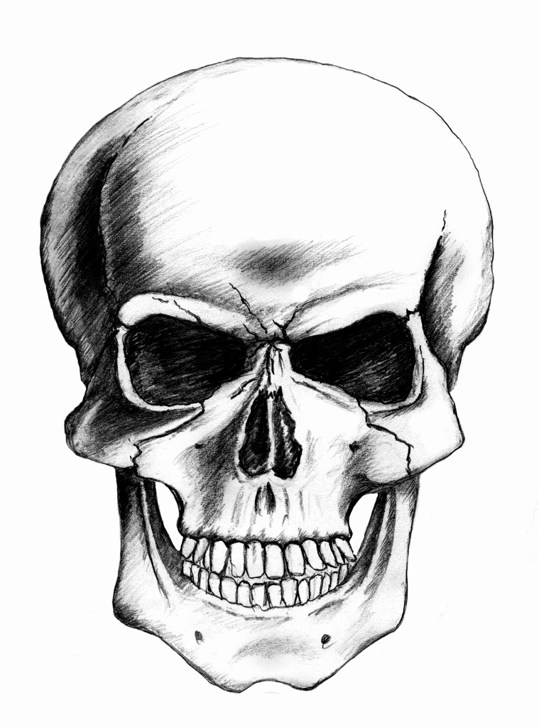 759x1024 Skull Sketches Drawings Unique Skull Drawing Clip Art Library