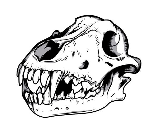 600x509 Sapta Design How To Create A Three Color Wolf Skull In Illustrator