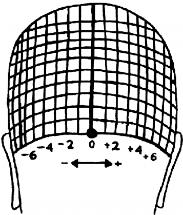 357x419 Skull Surface Grid