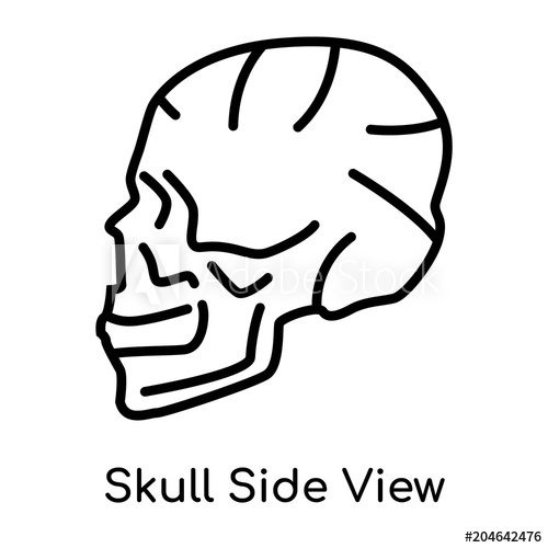 500x500 Skull Side View Icon Isolated On White Background Black Outline