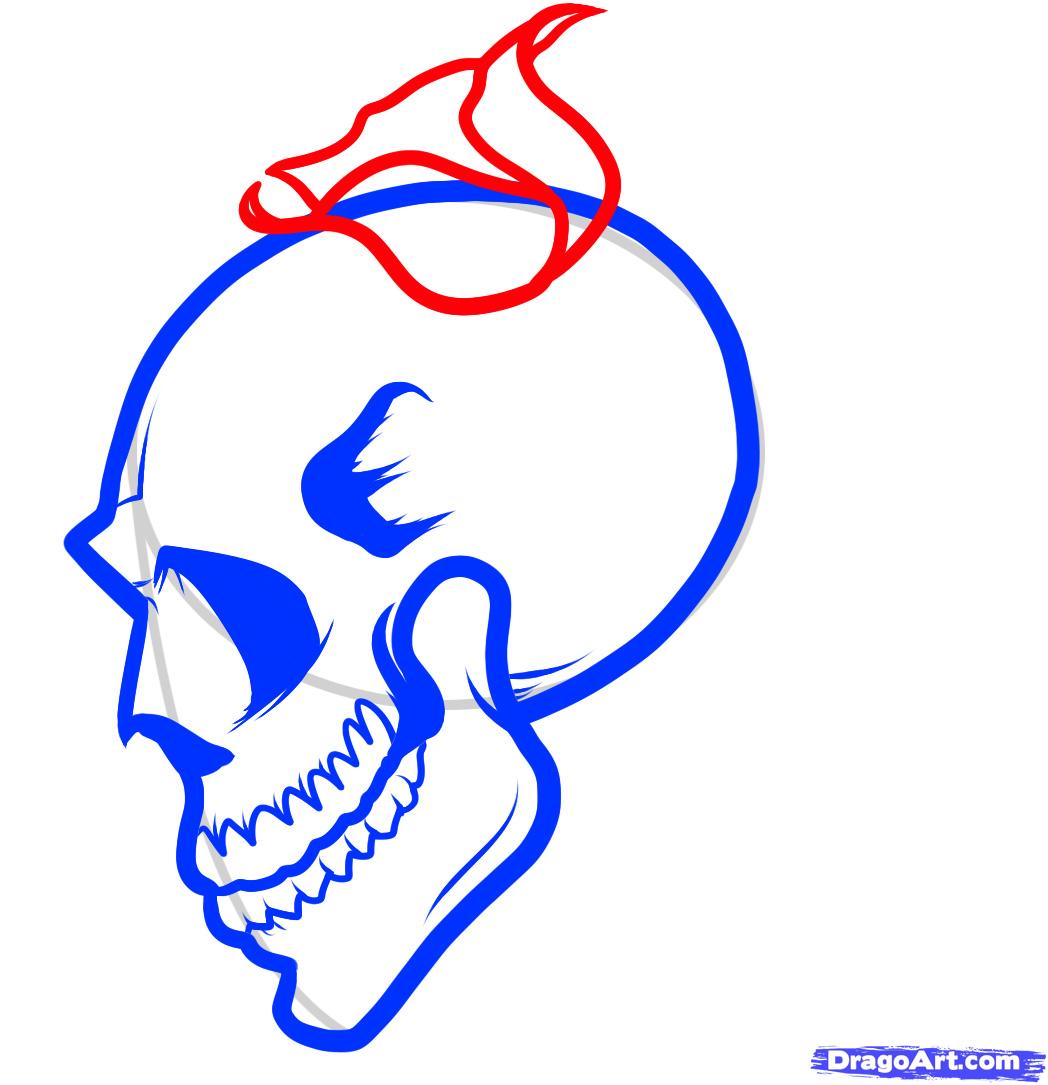 1048x1085 Step How To Draw A Skull And Roses, Skull And Roses