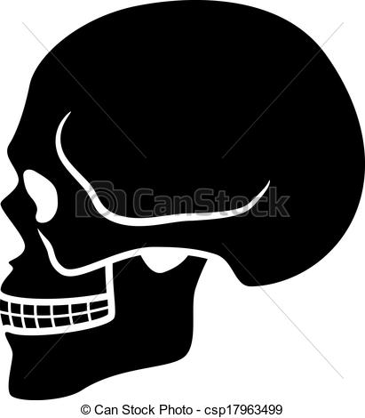 411x470 Vector Human Skull Symbol