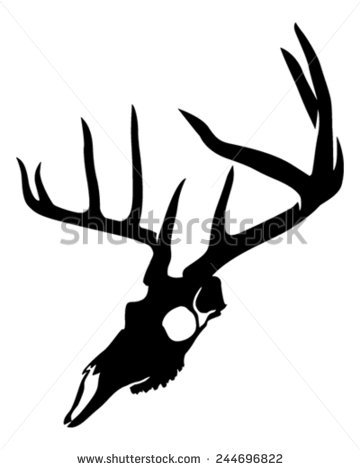 360x470 Deer Skull Side View