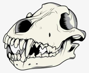 300x246 Skull Tumblr Png, Transparent Skull Tumblr Png Image Free Download