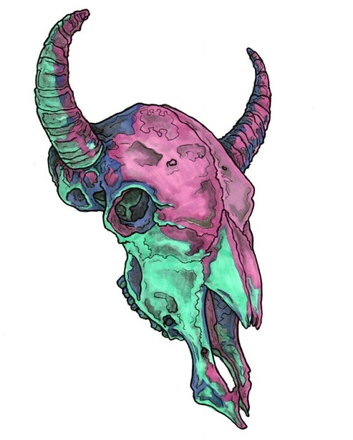 500x623 Cow Skull Drawing Tumblr
