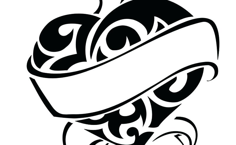 800x491 Black Drawings Scratch Board Blind Contour Of A Cat White Tumblr