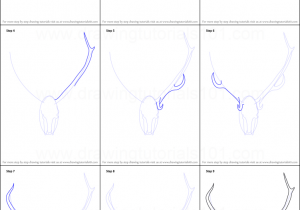 300x210 Skull Drawing Tutorial Step