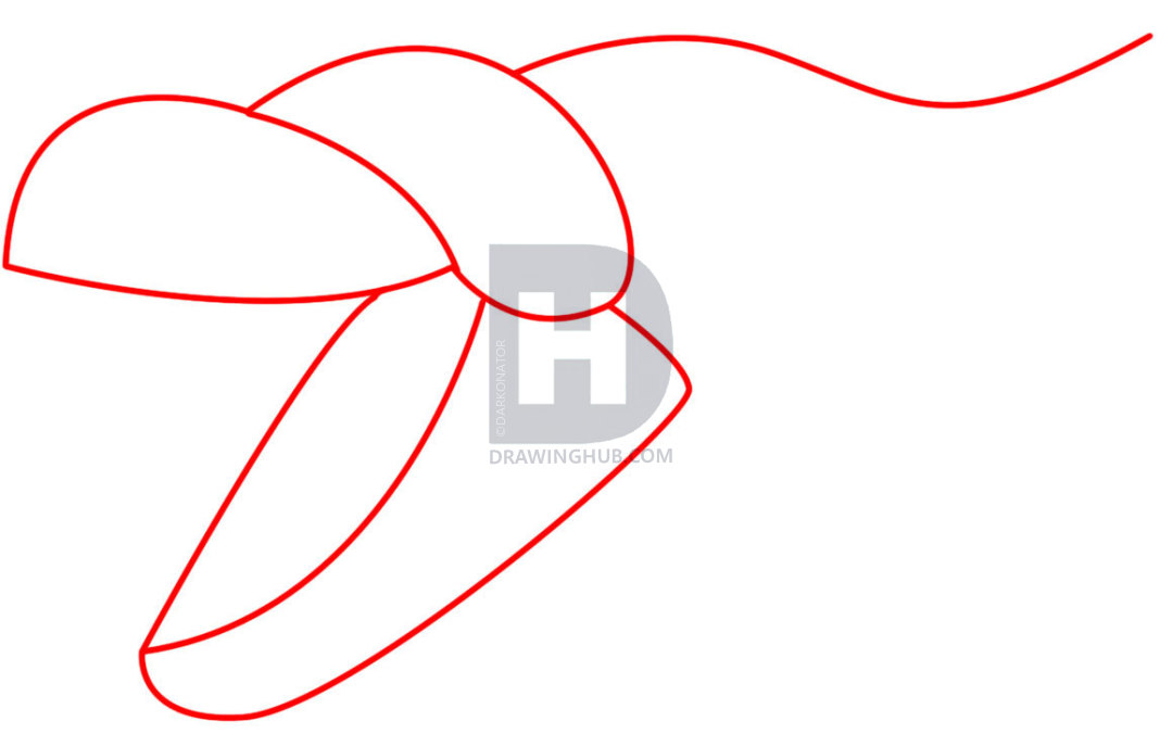 1080x676 How To Draw A Dragon Skull, Step