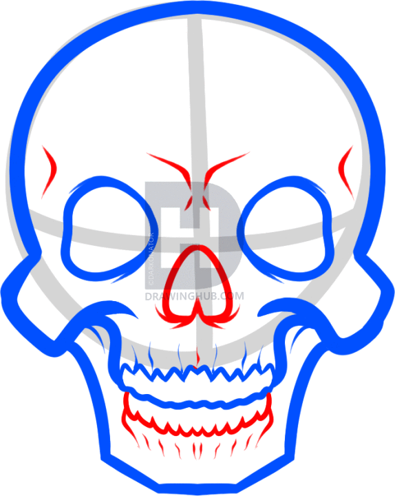 574x720 How To Draw A Skeleton Face, Step