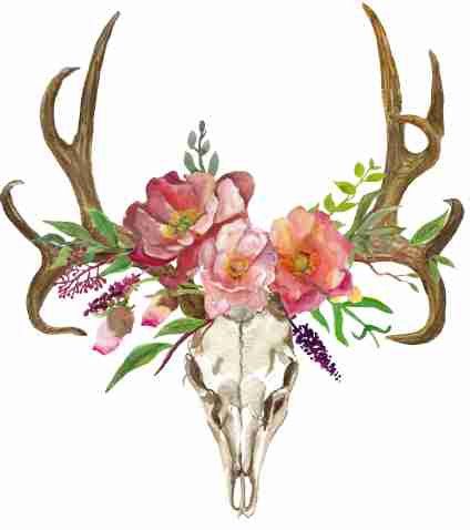 424x478 deer clipart, bohemian art, boho deer, deer skull with flowers