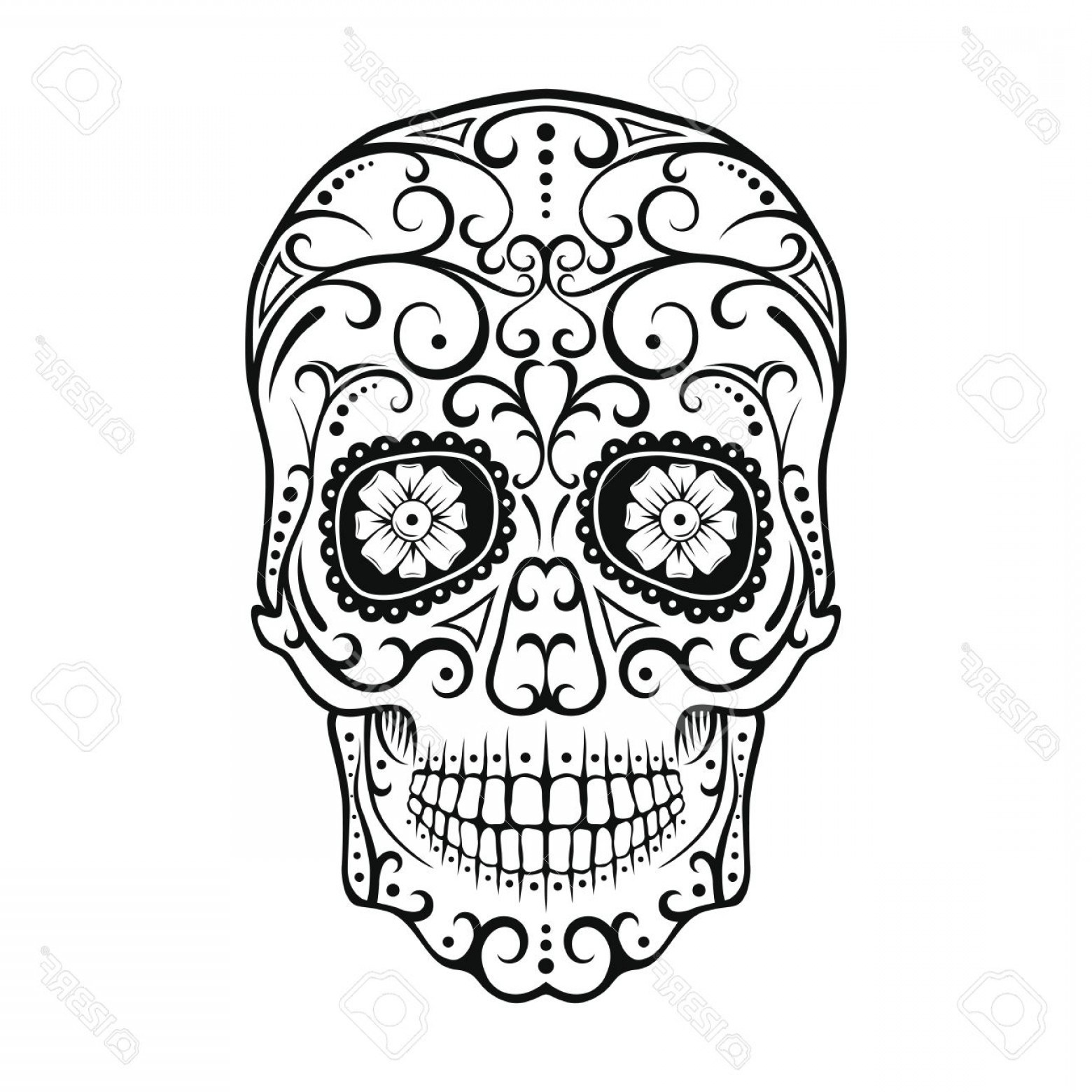 1560x1560 Flowers Day Of The Dead Skull