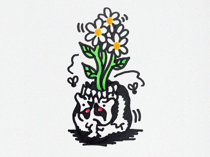 800x600 Pot Head Drawing