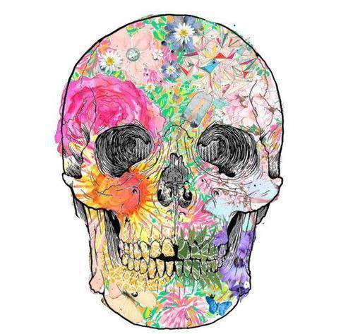 500x473 Random Pic Skull Flower Draw Art Vashti Luvs You