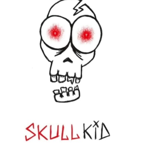 500x500 Skullkid Riot