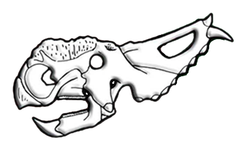 851x520 Filepachyrhinosaurus Skull Diagram