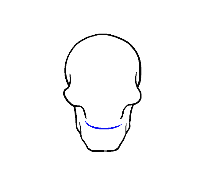 678x600 How To Draw A Skull Step