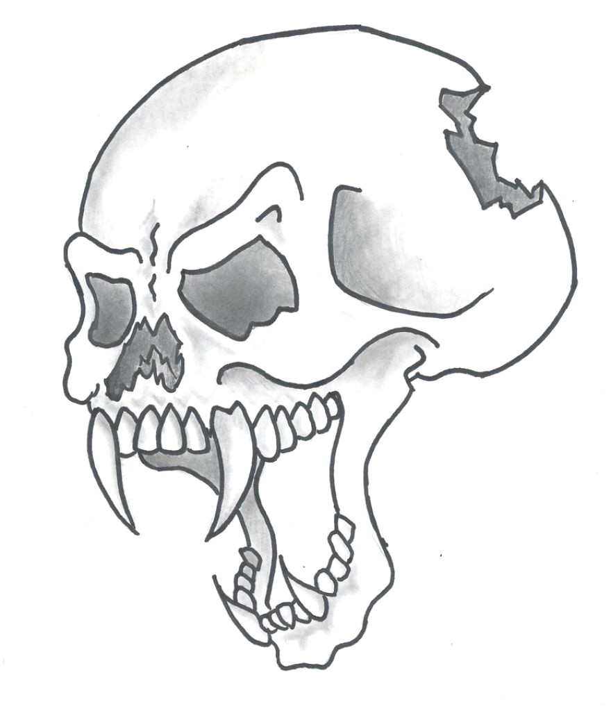 880x1024 Skull Cartoon Drawings