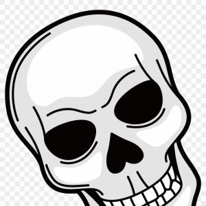 300x300 Stock Illustration Cat Skull Illustration Drawing Engraving