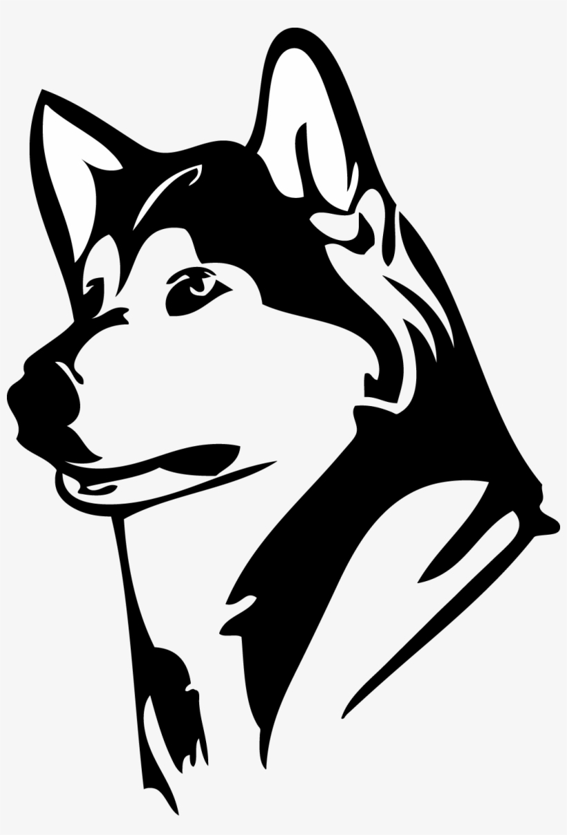 820x1207 Husky Drawing Skull