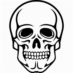 250x250 Chimp Drawing Skull, Picture