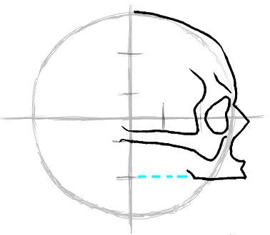 378x330 How To Draw A Skull In Profile Art Lessons Drawing Drawings
