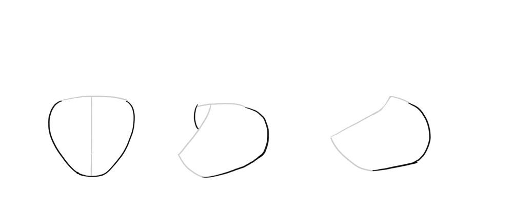 1000x416 How To Draw A Wolf Head And Shoulders, Knees And Paws