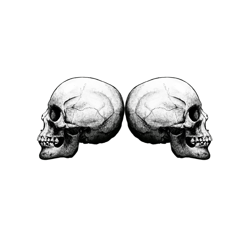 1024x1024 Profile Skull