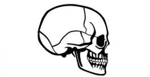 518x268 Skull Profile Vector