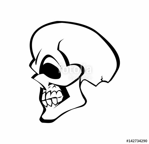 500x486 Skull In Profile Stock Image And Royalty Free Vector
