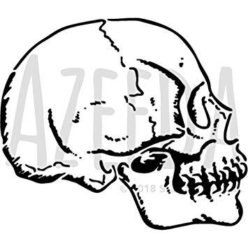 355x355 Azeeda 'skull In Profile' Wall Stencil Template