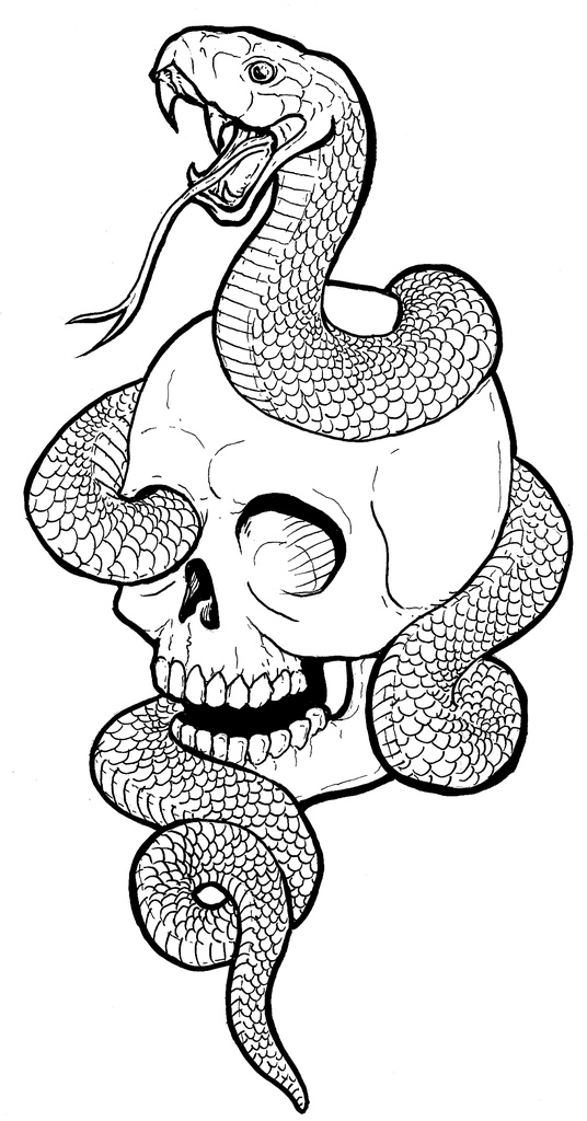 Skull Snake Drawing