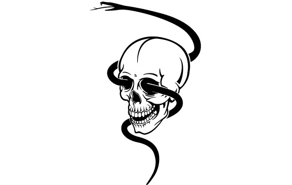 600x380 Skull Snake Vectors, Photos And Free Download