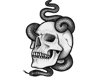 340x270 Skull And Snake Etsy