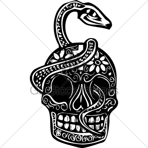 500x500 Snake And Skull Gl Stock Images