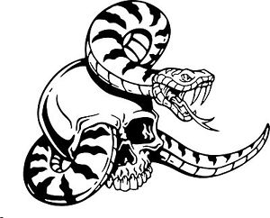 300x242 Snake Skull Serpent Car Truck Window Laptop Vinyl Decal Sticker Ebay