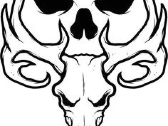 640x480 Drawing Ideas Skull Easy Best Simple Skull Tattoos Images