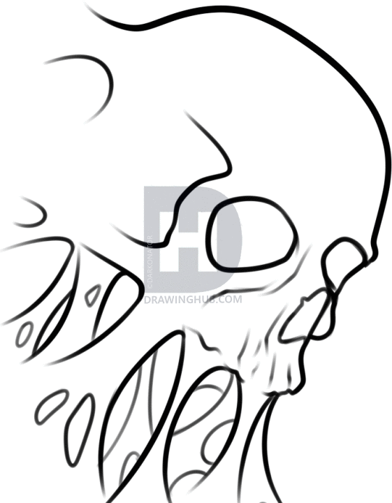 561x720 How To Draw A Skull Tattoo, Step