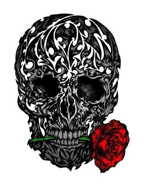 484x619 Cool Skull Tattoos Designs