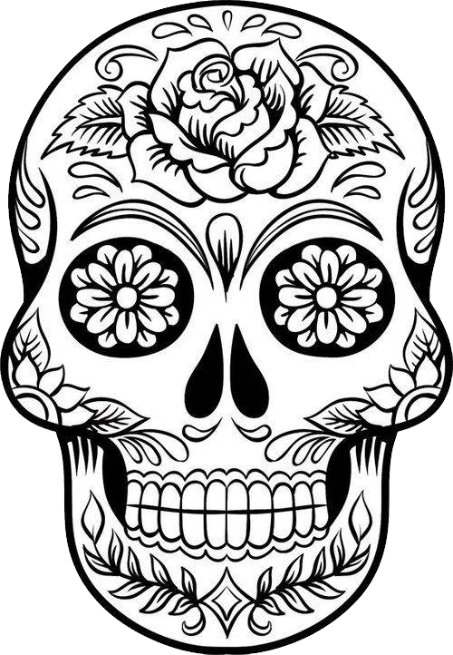 500x722 Skull Drawing Png Images In Collection
