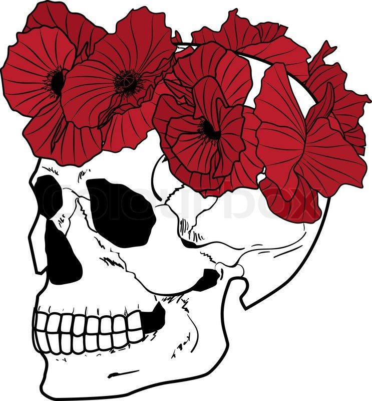 743x800 Skull And Wreath Of Poppies Stock Vector On Colourbox Tattoos