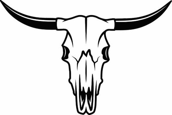 570x381 Bull Skull Skeleton Bones Horns Cowboy Country Western Cow Etsy