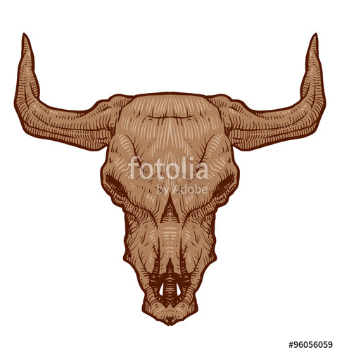 479x500 Vector Drawing Animal's Skull, Bull Cartoon Image Of Drawing