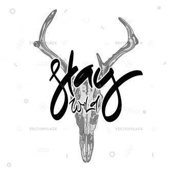 336x336 Animal Skull Drawing Tumblr Pencil Art With Horns Deer Step