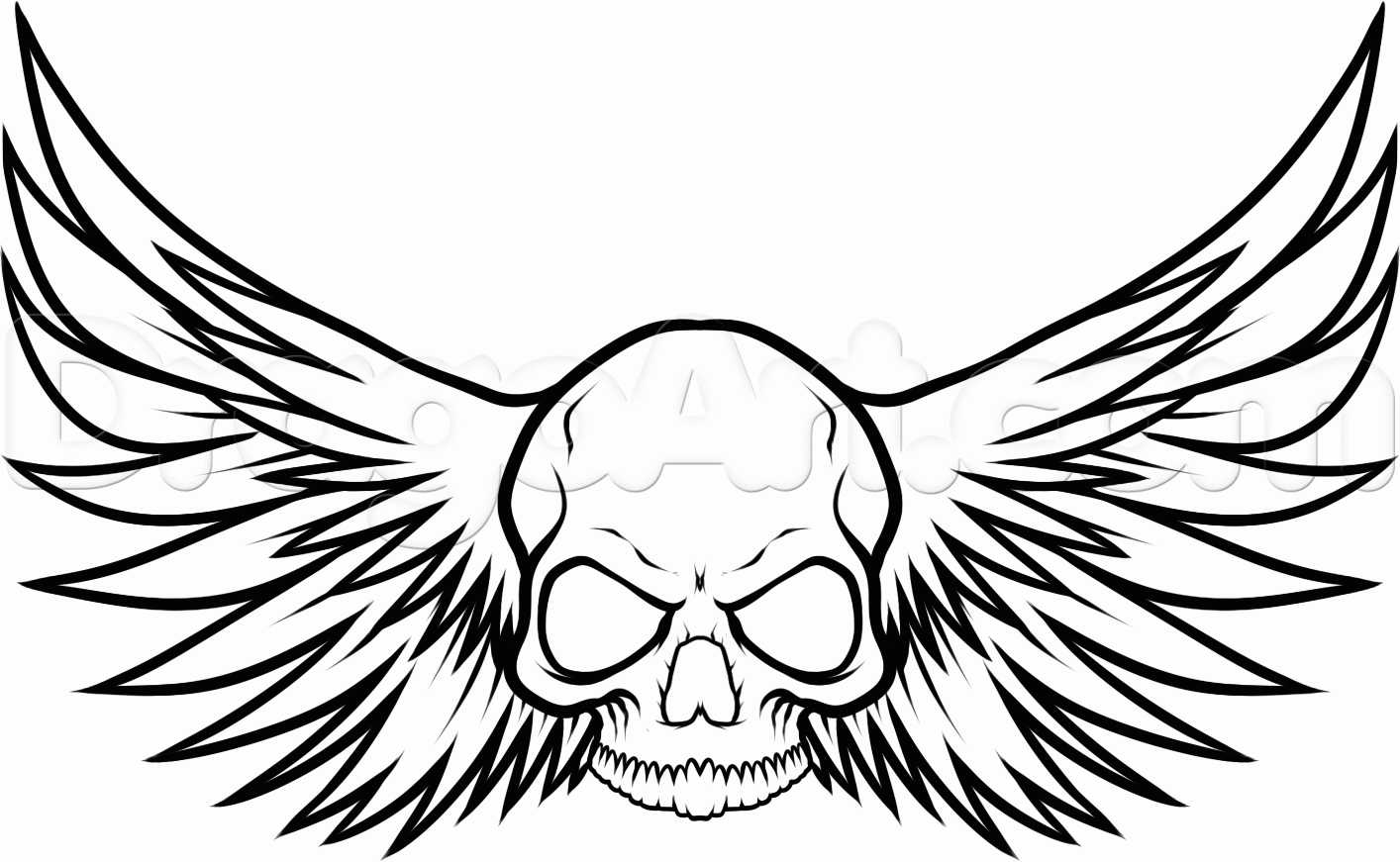 1414x871 Drawing Wings Skull For Free Download