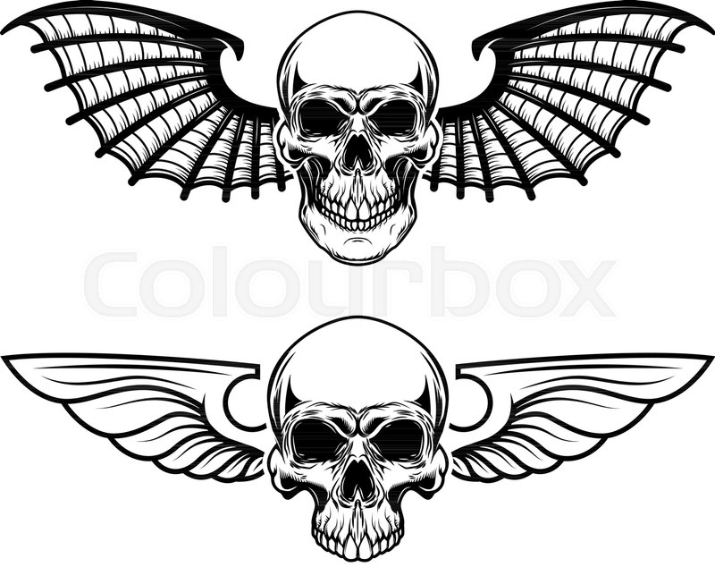 800x634 Set Of The Winged Craniums Skull With Stock Vector Colourbox