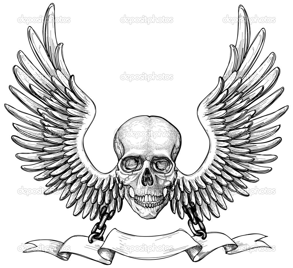 1024x937 Skull With Wings Drawings Free Image