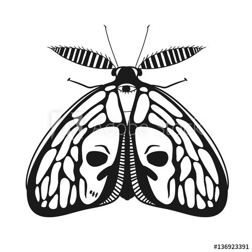 Skull With Wings Drawing | Free download on ClipArtMag