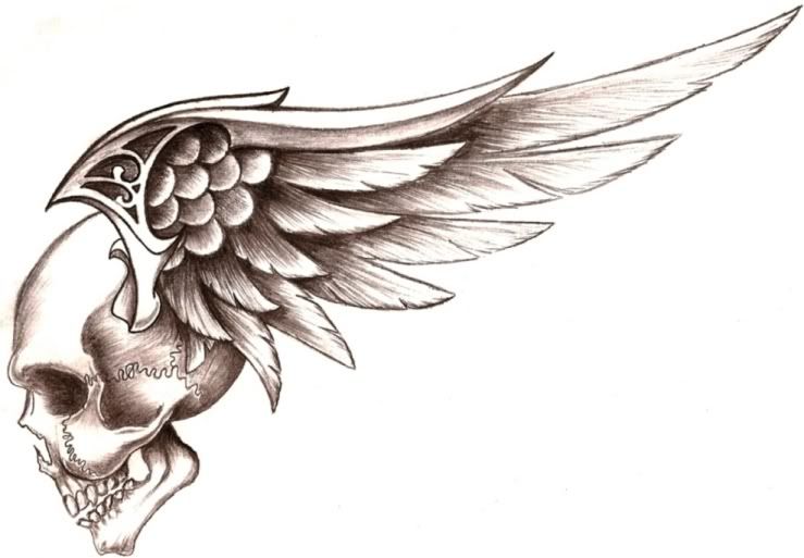 739x513 Skull With Wings
