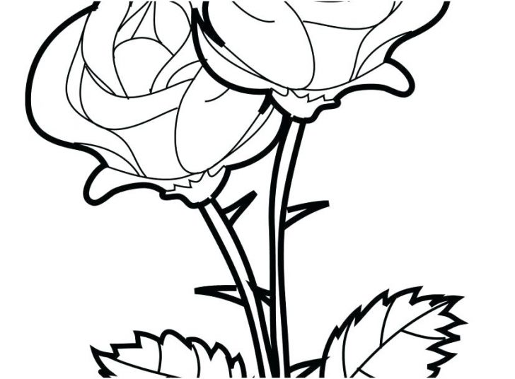 728x536 Coloring Pages Roses And Hearts Of Skulls Crosses Skull Graphic