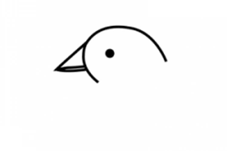 750x500 How To Draw A Dove With Color, Pencil, Bright Images